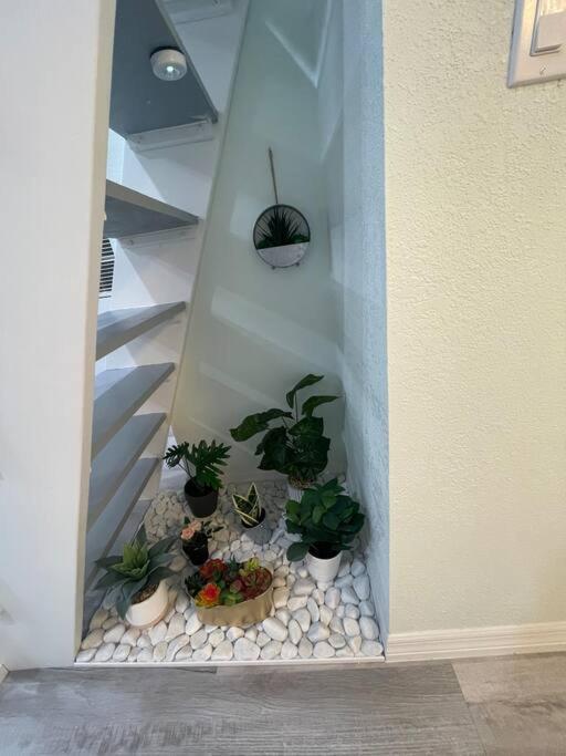 The Tiny Cottage In The Springs/ Central Fl Altamonte Springs Zewnętrze zdjęcie